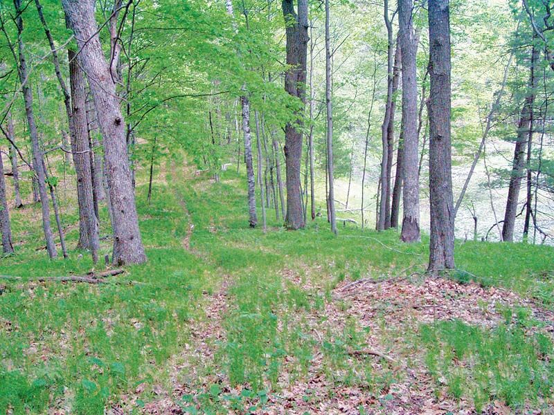 backroads lake alexander trail